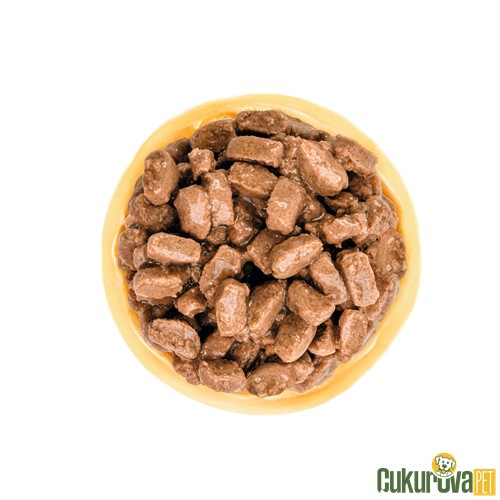 Royal Canin Mini Ageing +12 Yaşlı Köpek Yaş Maması 85 Gr