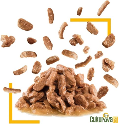 Royal Canin Sensory Taste Yetişkin Kedi Yaş Maması 85 Gr