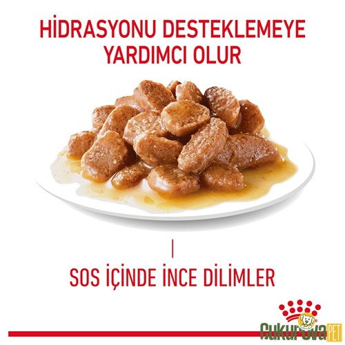 Royal Canin Care Digestive Yetişkin Kedi Yaş Maması 85 Gr