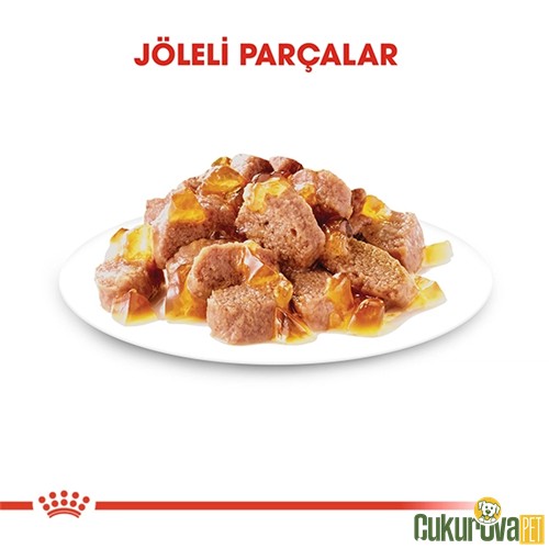 Royal Canin Sterilised In Jelly Kısırlaştırılmış Kedi Yaş Maması 85 Gr