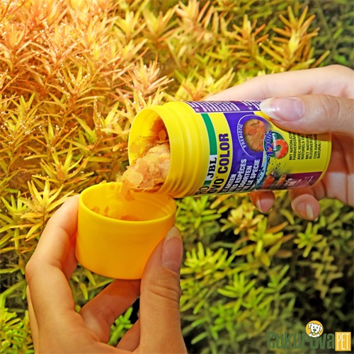 Jbl Pronovo Color Flakes M Pul Yem 100 Ml - 18 Gr