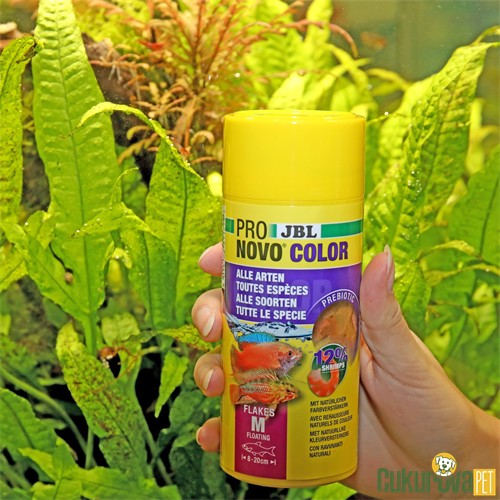 Jbl Pronovo Color Flakes M Pul Yem 100 Ml - 18 Gr