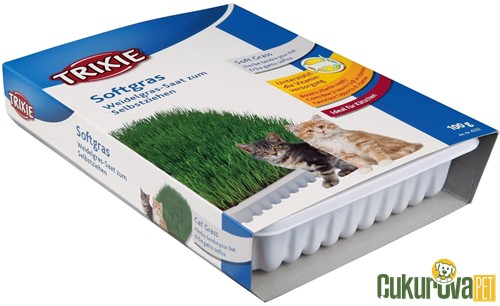 Trixie Softgrass Yavru ve Yetişkin Kedi Çimi 100 Gr