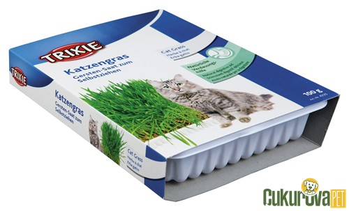 Trixie Katzengras Kedi Çimi 100 Gr
