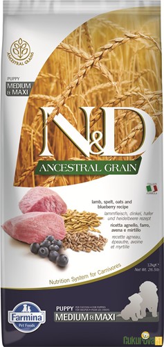 N&D Ancestral Grain Puppy Medium & Maxi Kuzu Etli Ve Yaban Mersinli Yavru Köpek Maması 12 Kg