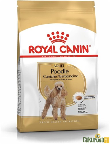 Royal Canin Adult Poodle Caniche Yetişkin Köpek Maması 3 Kg