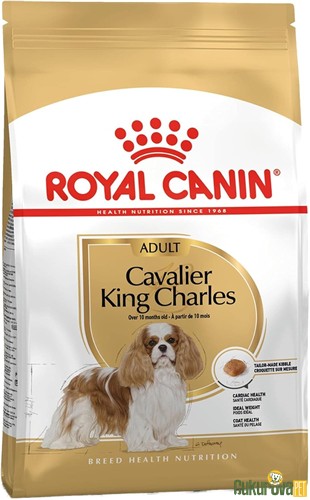 Royal Canin Adult Cavalier King Charles Yetişki̇n Köpek Maması 1.5 Kg