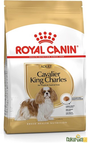Royal Canin Adult Cavalier King Charles Yetişkin Köpek Maması 3 Kg