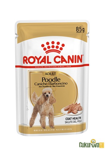 Royal Canin Adult Poodle Caniche Yetişkin Köpek Yaş Maması 85 Gr