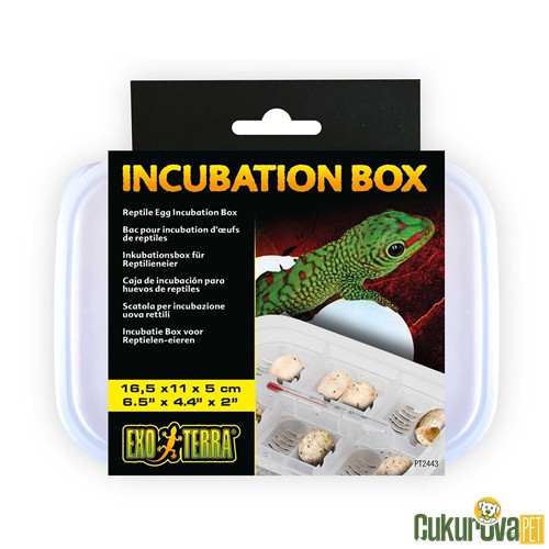 Exo Terra Incubation Box Sürüngenler İçi̇n Kuluçka Kutusu