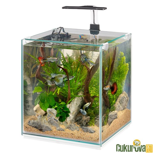 Ferplast Tonga 30 Ledli Akvaryum