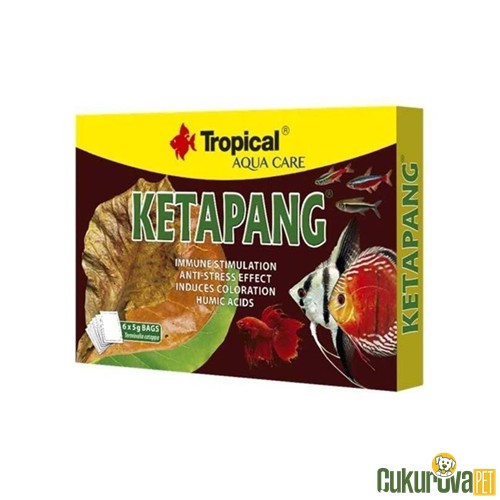Tropical Ketapang 5 Gr - 6 Adet