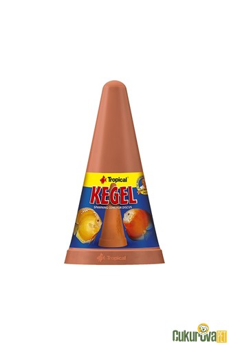 Tropical Kegel Yumurtlama Konisi