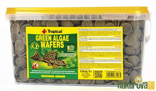 Tropical Green Algae Wafers Tablet Yem 5 L - 2.25 Kg