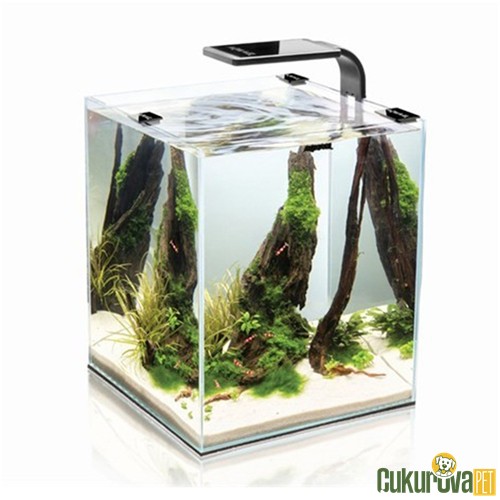 Aquael Shrimp Set 20 Siyah