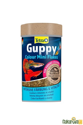 Tetra Guppy Colour Mini Flakes Pul Yem 250 Ml - 75 Gr