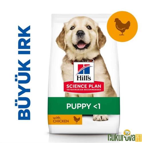 HILL'S SCIENCE PLAN TAVUKLU BÜYÜK IRK YAVRU KÖPEK MAMASI 2,5 KG 