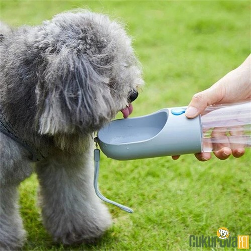 Eastland Köpekler İçin Taşınabilir Seyehat Su Kabı 450 Ml