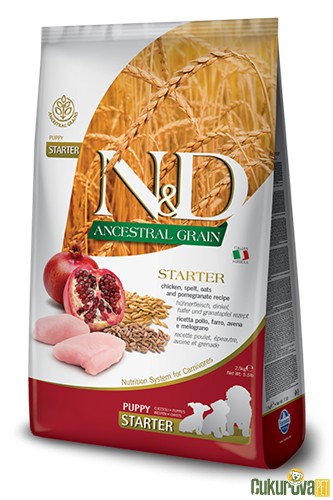 N & D Düşük Tahıllı Puppy Starter Tavuklu Anne ve Yavru Köpek Maması 2.5 Kg