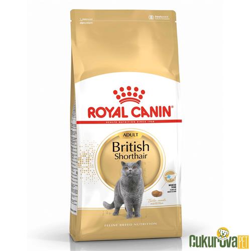 ROYAL CANIN BRITISH SHORTHAIR YETİŞKİN KEDİ MAMASI 4 KG