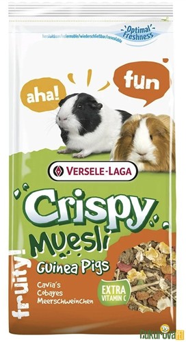 VERSELE LAGA CRISPY MUESLİ GUINEA PIG YEMİ 1 KG