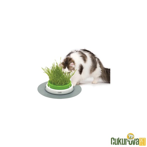 CATIT SENSES 2.0 GRASS PLANTER KEDİ ÇİM SETİ