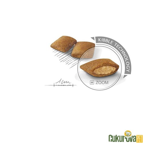 Royal Canin Exigent Mini Yetişkin Köpek Maması 3 Kg