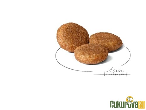 Royal Canin Medium Adult Yetişkin Köpek Maması 15 Kg