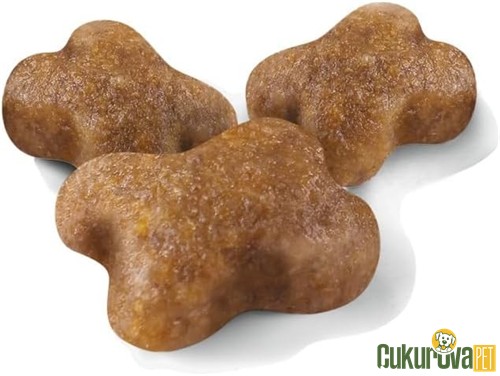 Royal Canin Kitten Yavru Kedi Maması 4 Kg