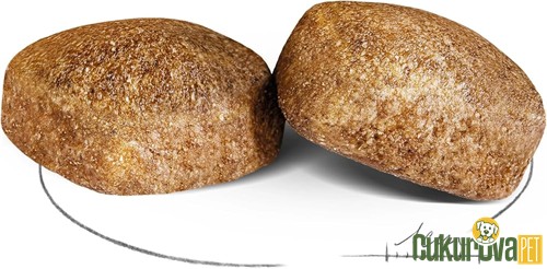 Royal Canin Giant Adult Yetişkin Köpek Maması 15 Kg