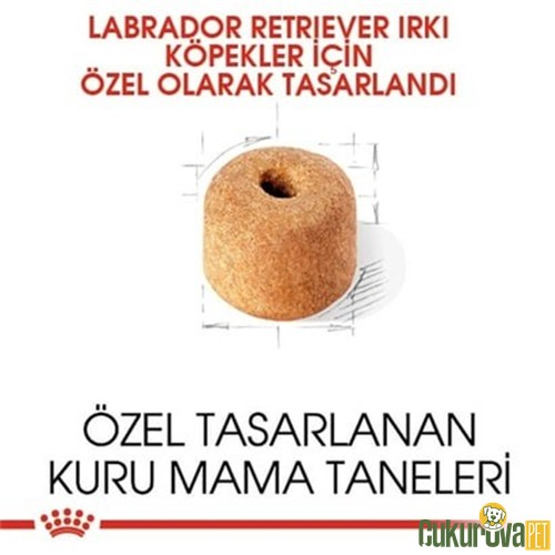 Royal Canin Adult Labrador Retriever Yetişkin Köpek Maması 12 Kg
