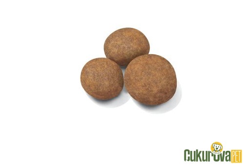 Royal Canin Puppy Maxi Yavru Köpek Maması 15 Kg