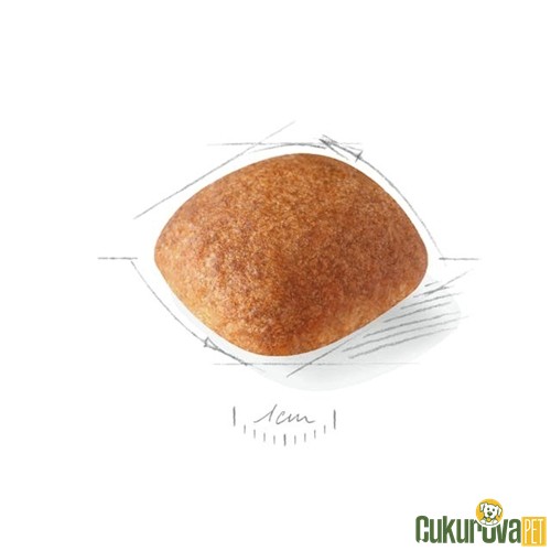 Royal Canin Adult Golden Retriever Yetişkin Köpek Maması 12 Kg