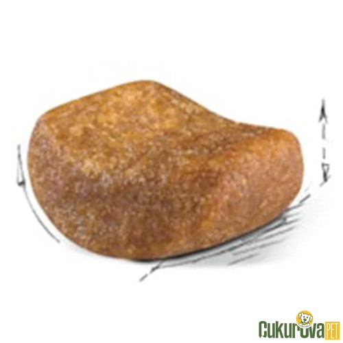 Royal Canin Adult British Shorthair Yetişkin Kedi Maması 4 Kg