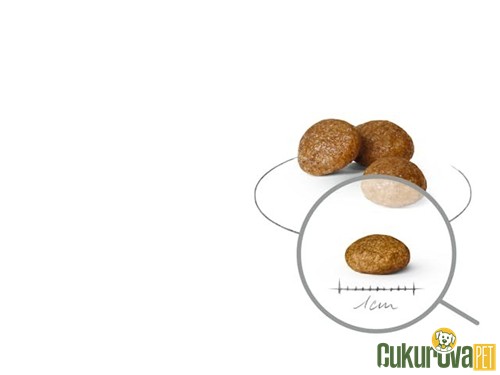 Royal Canin X-Small Adult Yetişkin Köpek Maması 1.5 Kg