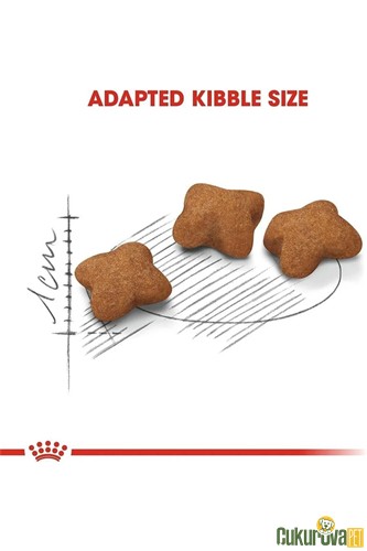 Royal Canin Kitten Sterilised Kısırlaştırılmış Yavru Kedi Maması 2 Kg