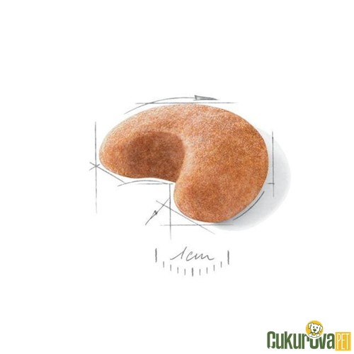 Royal Canin Adult French Bulldog Yetişkin Köpek Maması 3 Kg