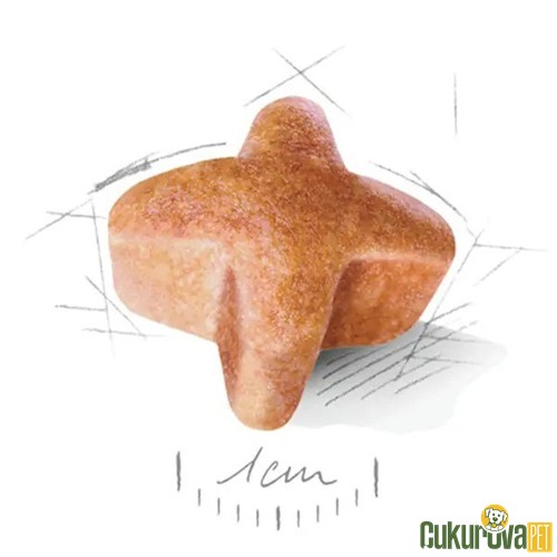 Royal Canin Adult German Shepherd Yetişkin Köpek Maması 11 Kg