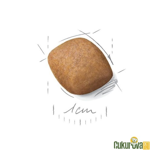 Royal Canin Adult Pomeranian Yetişkin Köpek Maması 3 Kg