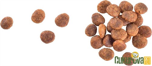 Brit Care Sensitive Hindili Ve Somonlu Yetişkin Kedi Maması 7 Kg
