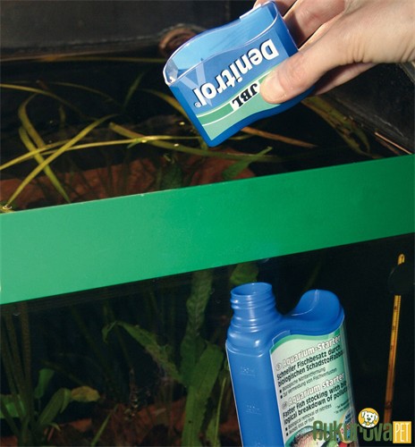 Jbl Denitrol Bakteri Başlatıcı Su Düzenleyici 100 Ml