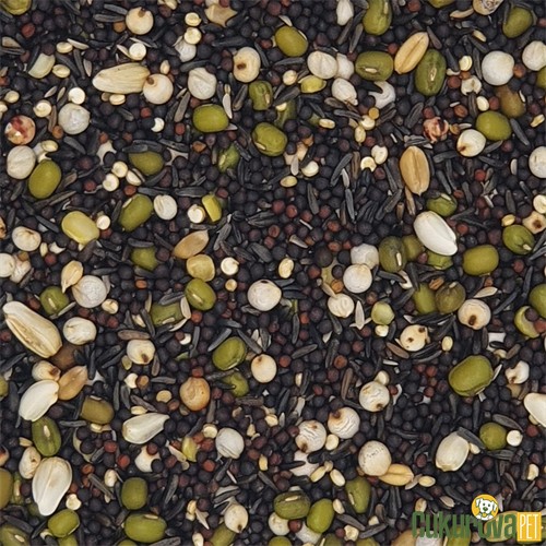 Versele Laga Prestige Kanarya Çimlendirme Tohumu 20 Kg