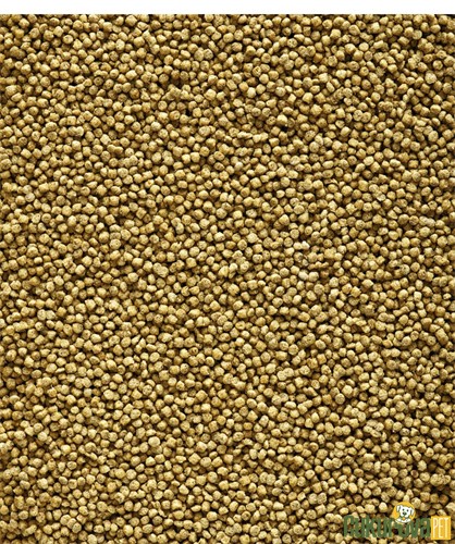 Versele Laga NutriBird C19 Original Pellets Kanarya Ve Finch Yemi 3 Kg