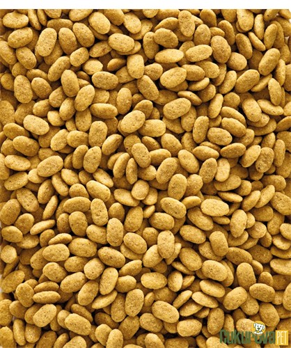 Versele Laga NutriBird P15 Orijinal Pellets Papağan Yemi 10 Kg
