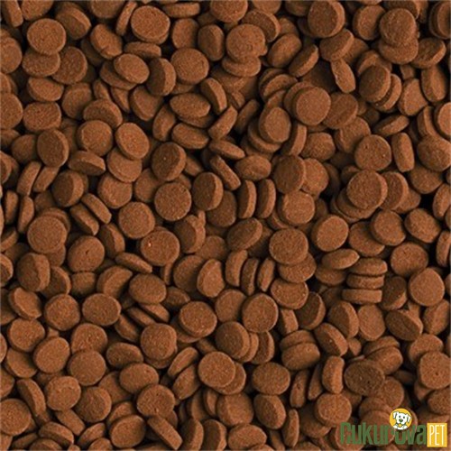 Tropical Carnivore Granül Yem 1000 Ml - 600 Gr