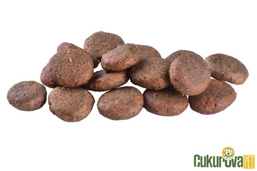 Brit Care Skin&Coat Senior&Light Somonlu Yaşlı Köpek Maması 3 Kg