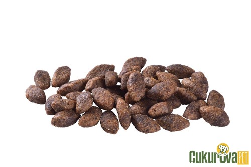 Brit Care Digestion & Skin Sensitive Geyikli Yetişki̇n Köpek Maması 12 Kg
