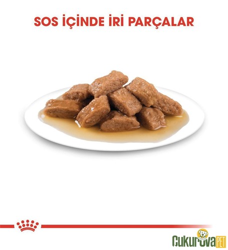 Royal Canin Medium Adult In Gravy Yeti̇şki̇n Köpek Yaş Maması 140 Gr