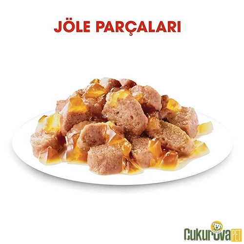 Royal Canin Care Hair&Skin Yetişkin Kedi Yaş Maması 85 Gr