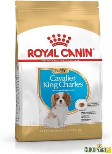 Royal Canin Puppy Cavalier King Charles Yavru Köpek Maması 1.5 Kg